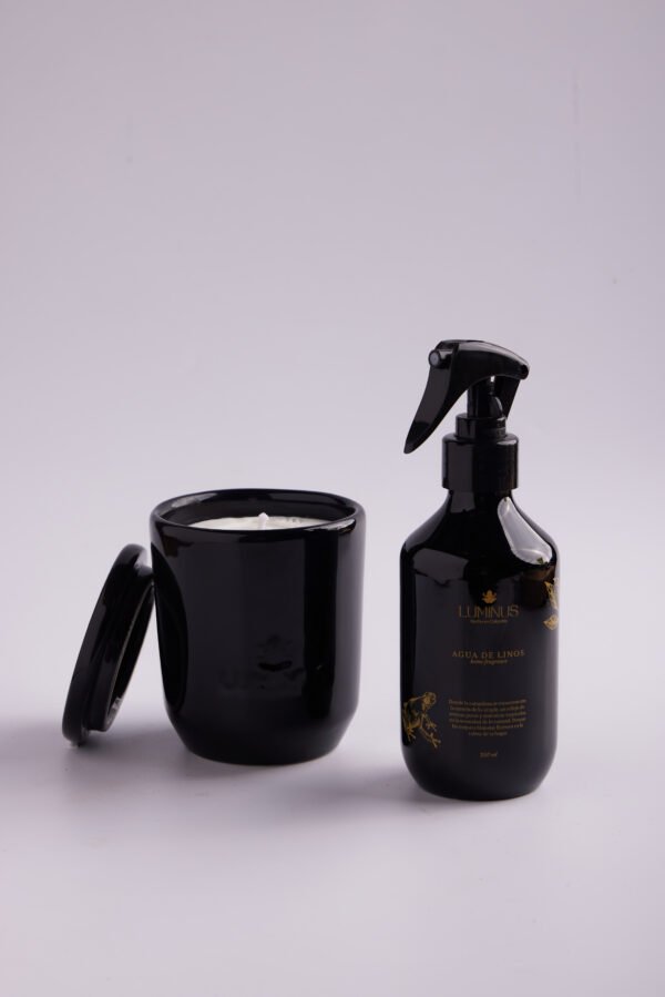 AGUA DE LINOS VINTAGE