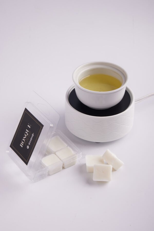 WAX MELTS