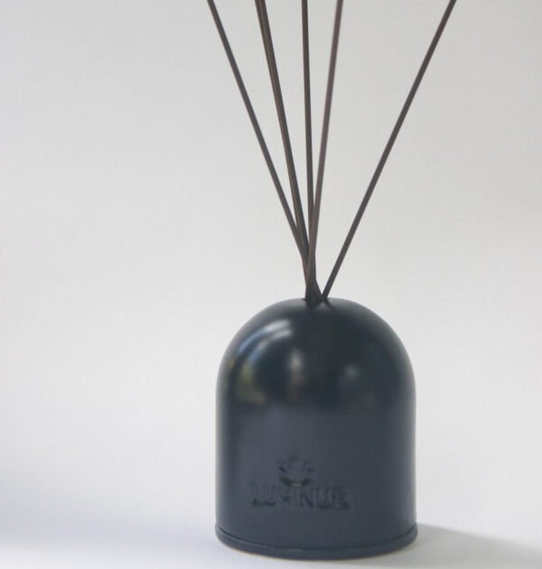 BLACK DIFUSOR DE VARITAS 100ML