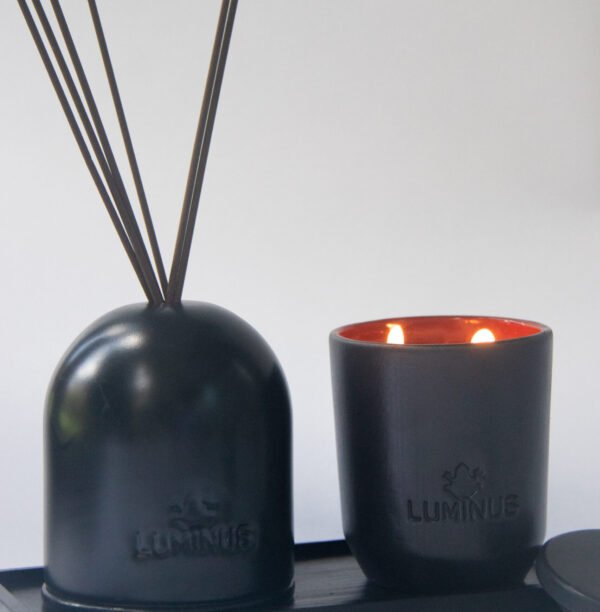 BLACK DIFUSOR DE VARITAS 100ML